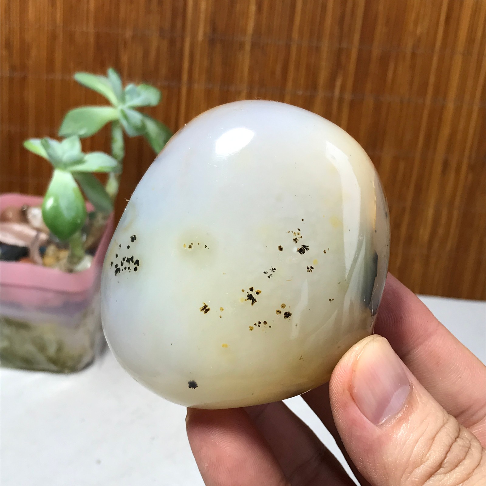 71mm Natural aquatic plants agate pretty Crystal specimens 210g A1637