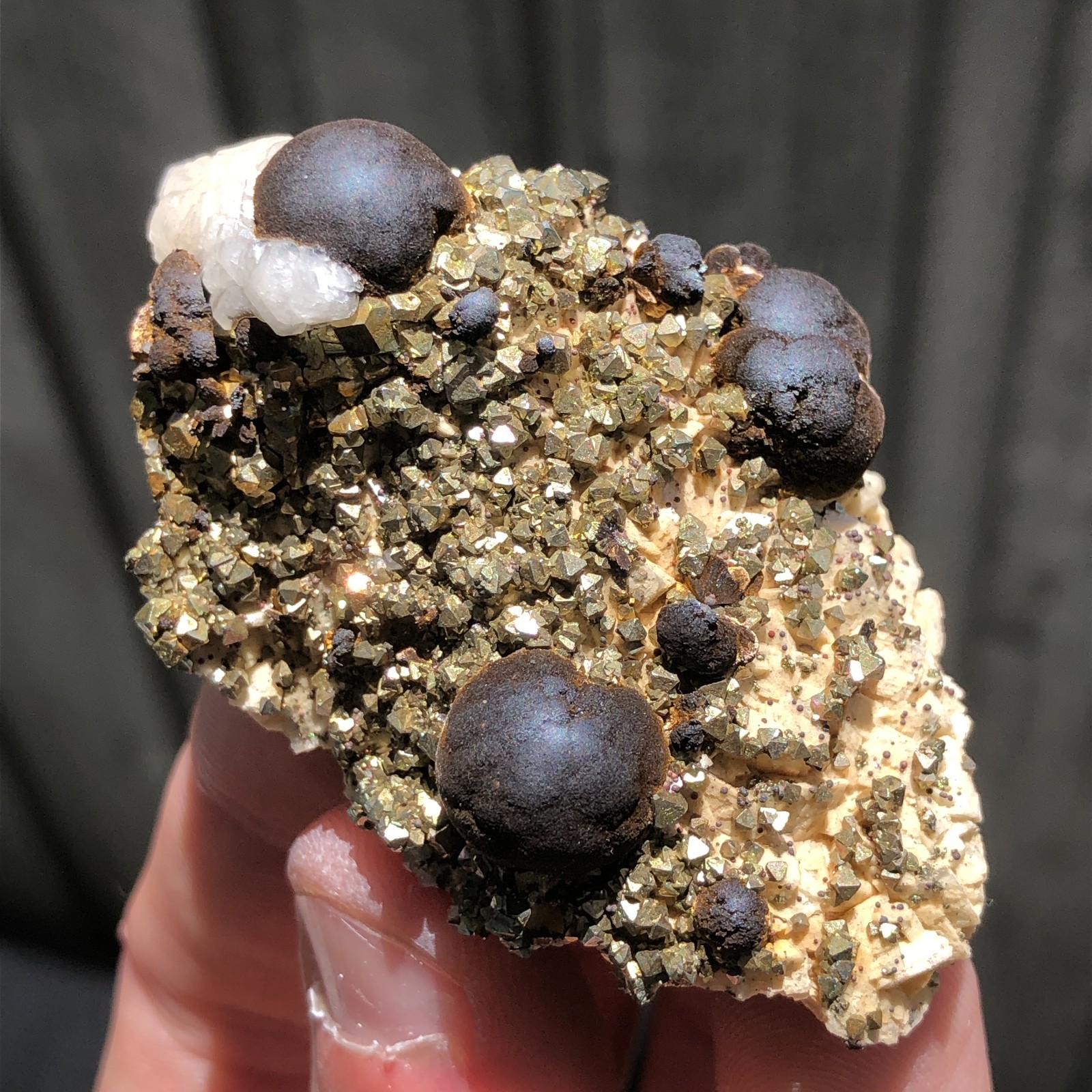 6.3cm Goethite on Pyrite, Calcite & Dolomite Crystals from Wawa, Ontario, Canada