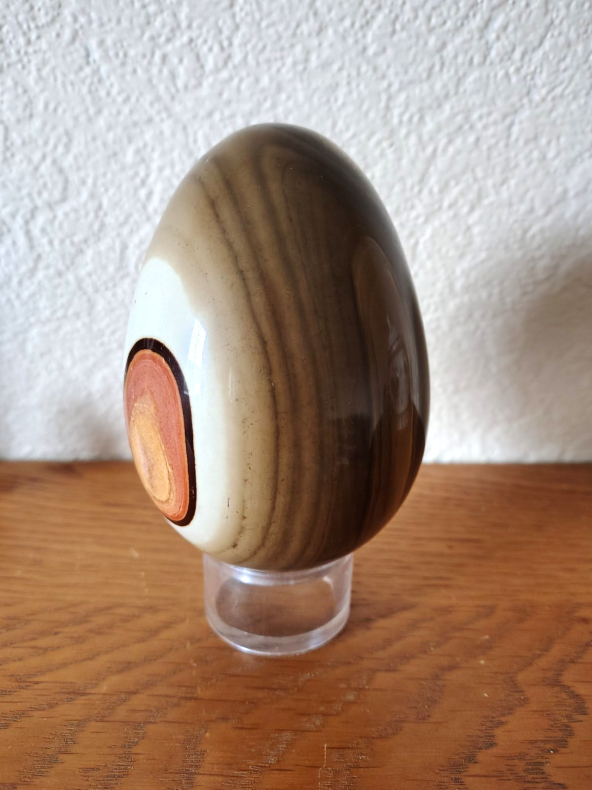 Large Polychrome Ocean Jasper Egg Sedimented Polished 11cm / 780g Madagascar