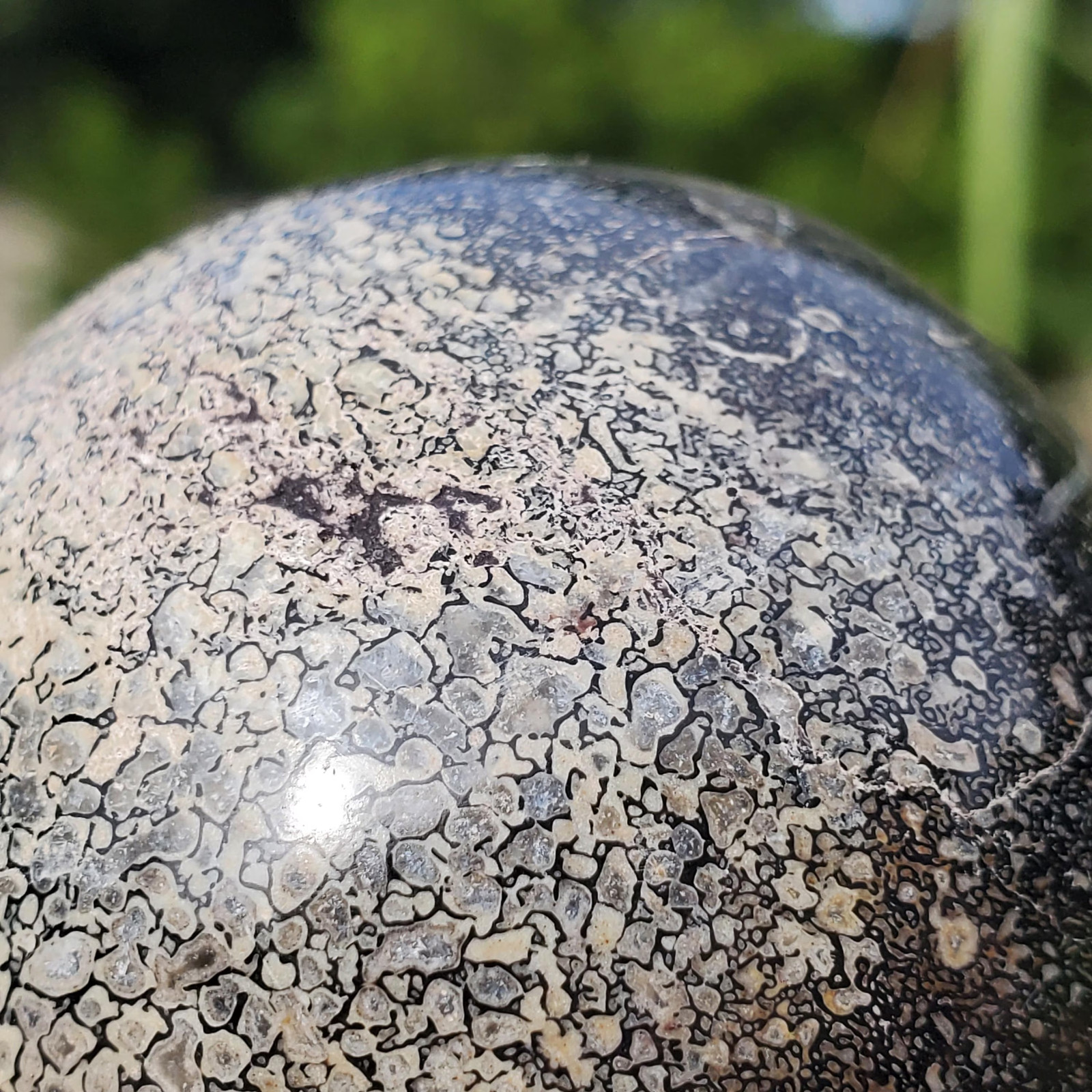 Dinosaur Gembone Dinobone Fossil Sphere Agatized Bone 220 Grams