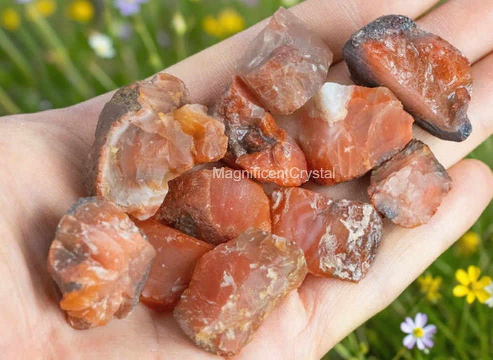 3PCS Natural Raw Carnelian Stone Red Crystal Healing Home Decor Energy Gifts