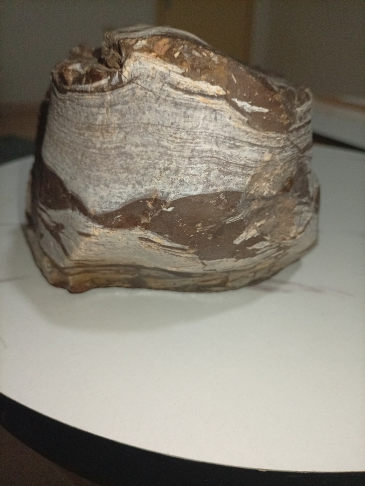A uniquefresh looking stonea magnificent sedimentary rock from the lowest