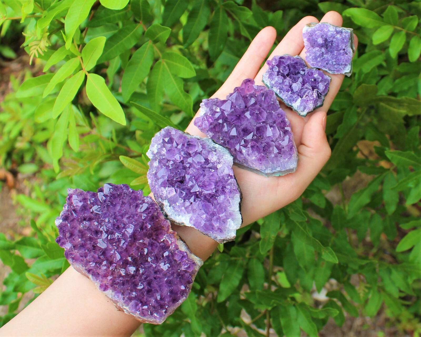 Amethyst Geode Druzy Crystal Quartz Cluster Natural Specimen: You Choose Size!