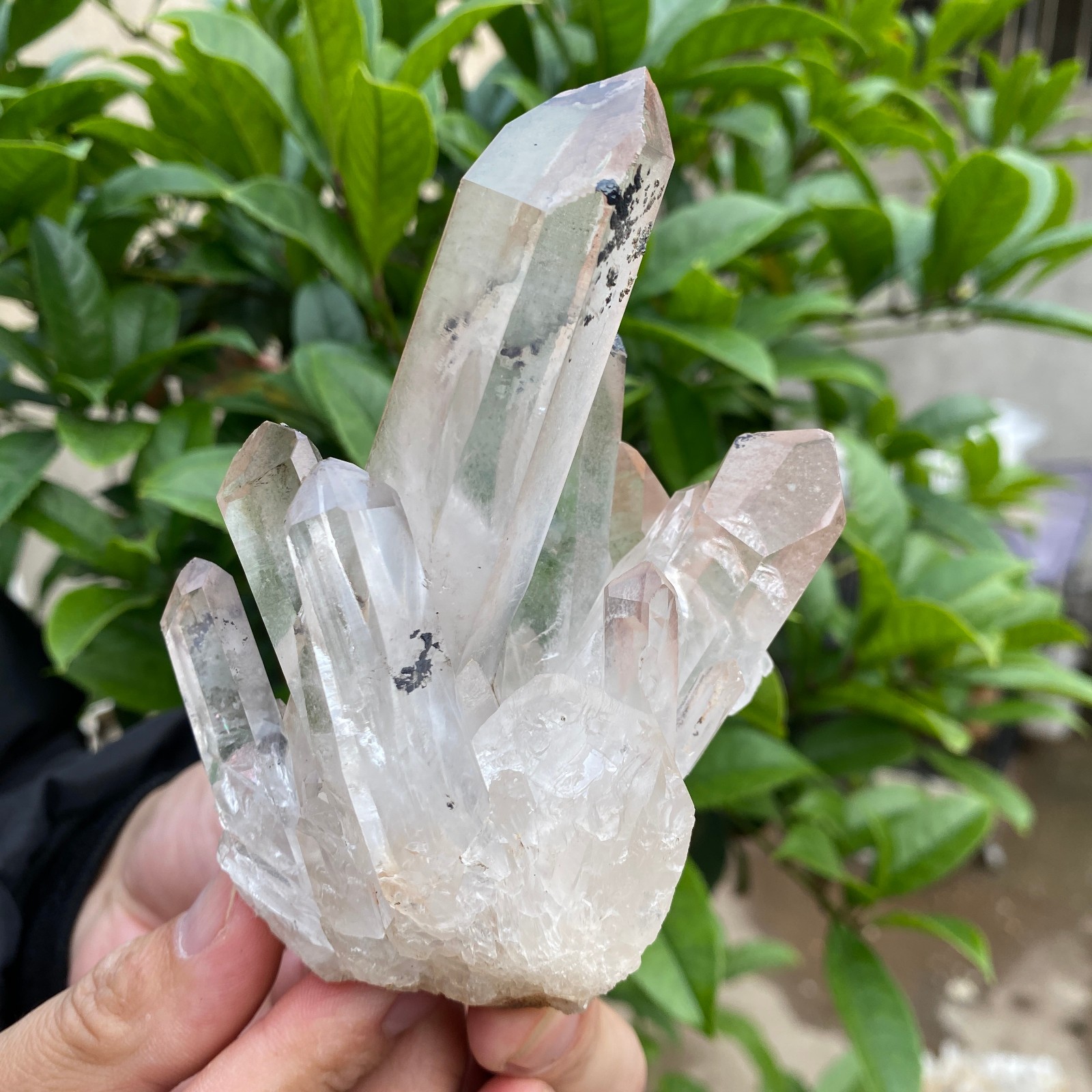 330g Natural Clear White Quartz Crystal Cluster Rough Healing Specimen