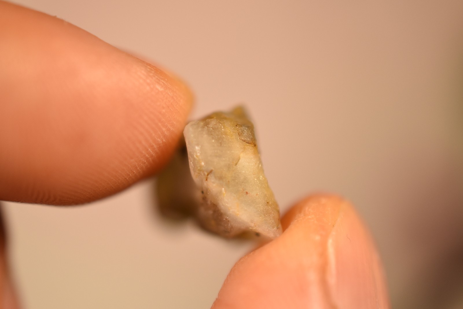 *AUSTRALIAN* CITRINE Crystal 2.9cm 4.7g Cluster Cassiterite Inclusion NSW