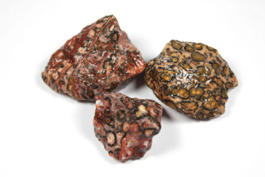 Leopard Skin Jasper – Rough Rocks for Tumbling – Bulk Wholesale options
