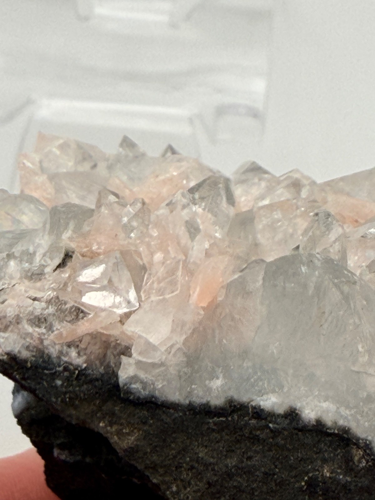 Apophyllite Crystal Cluster on Blue Chalcedony Jalgaon India 6x3x2.5”