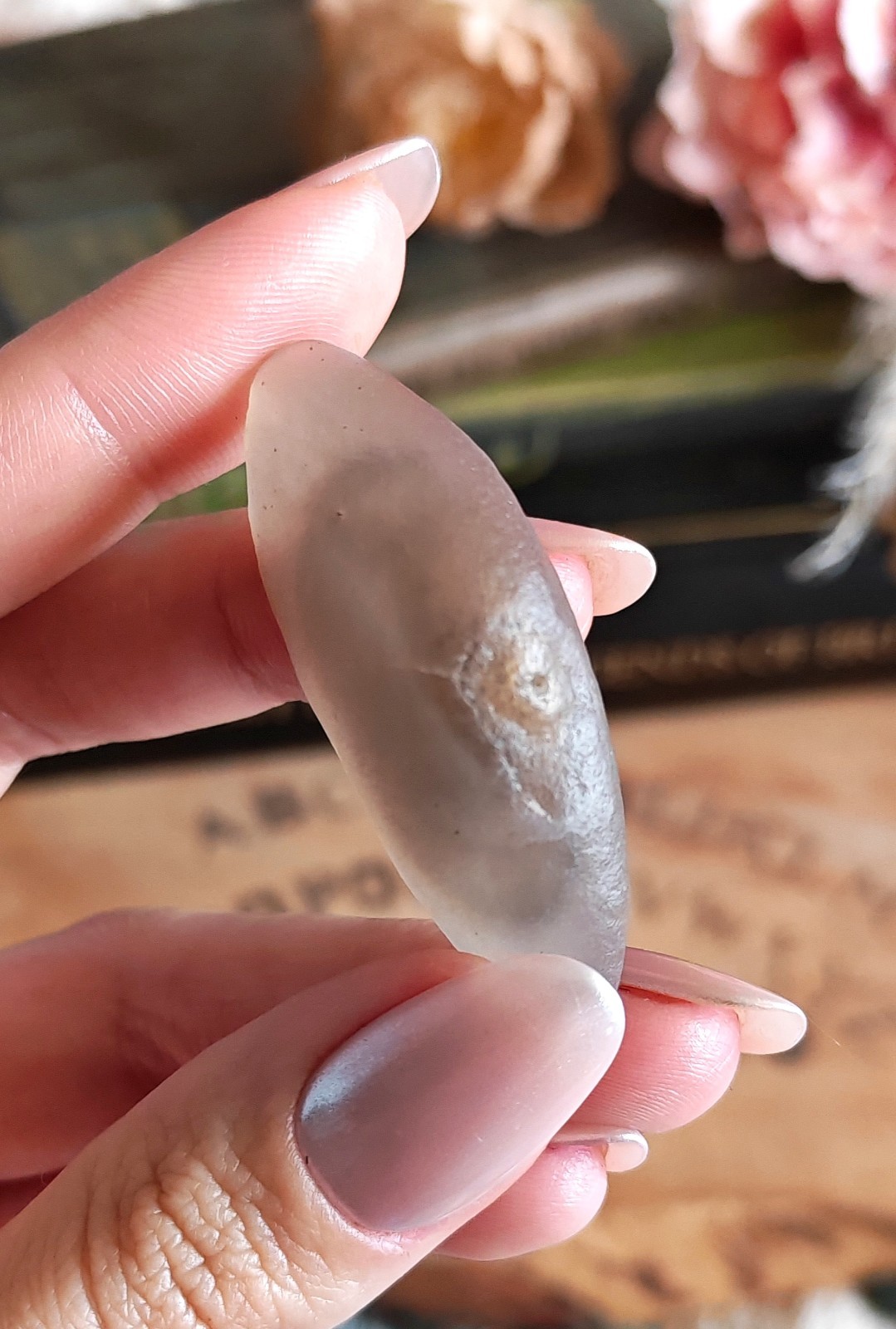 RARE! Gobi Desert Agate With Moving Sand Inclusions Sediment Enhydro Crystal