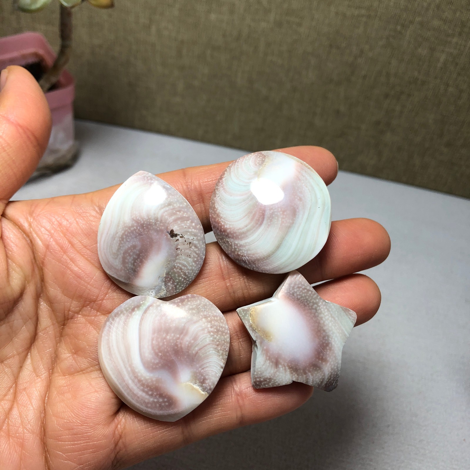 4pcs Rare sun shell Reiki Shiva Eye ocean semi-precious stone 75g A2758