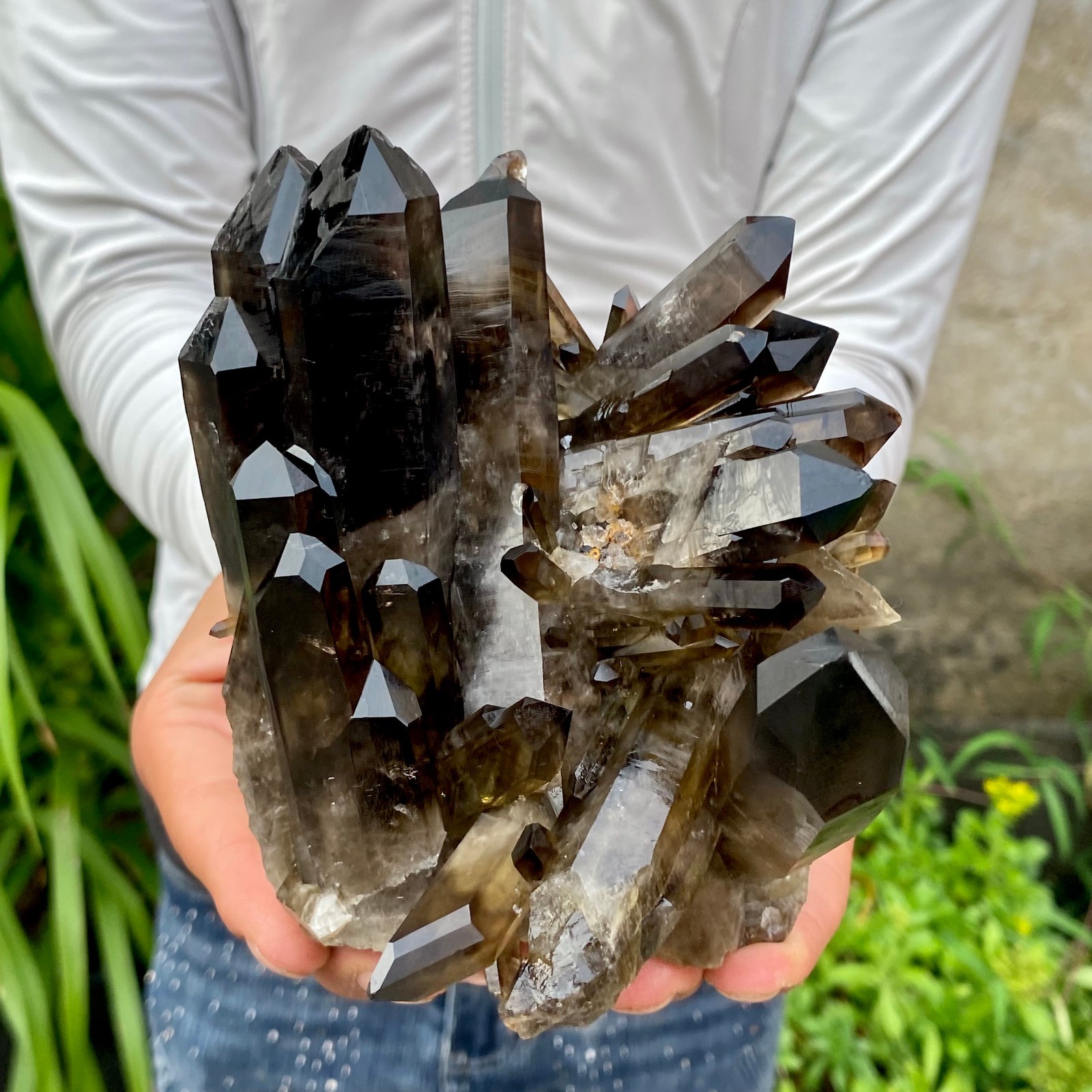 2.42LB Natural Smoky Black Quartz Cluster Crystal raw Specimen Healing