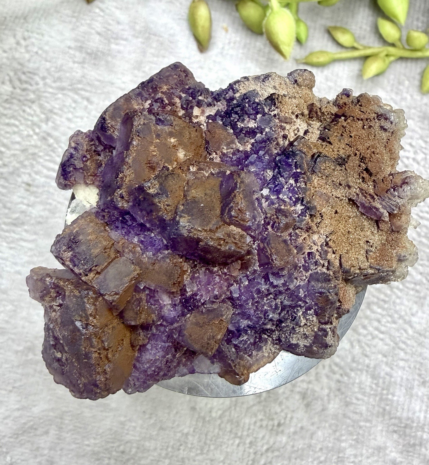 Crystal 58g Natural Coated Purple Window Cube Fluorite Specimen Mineral