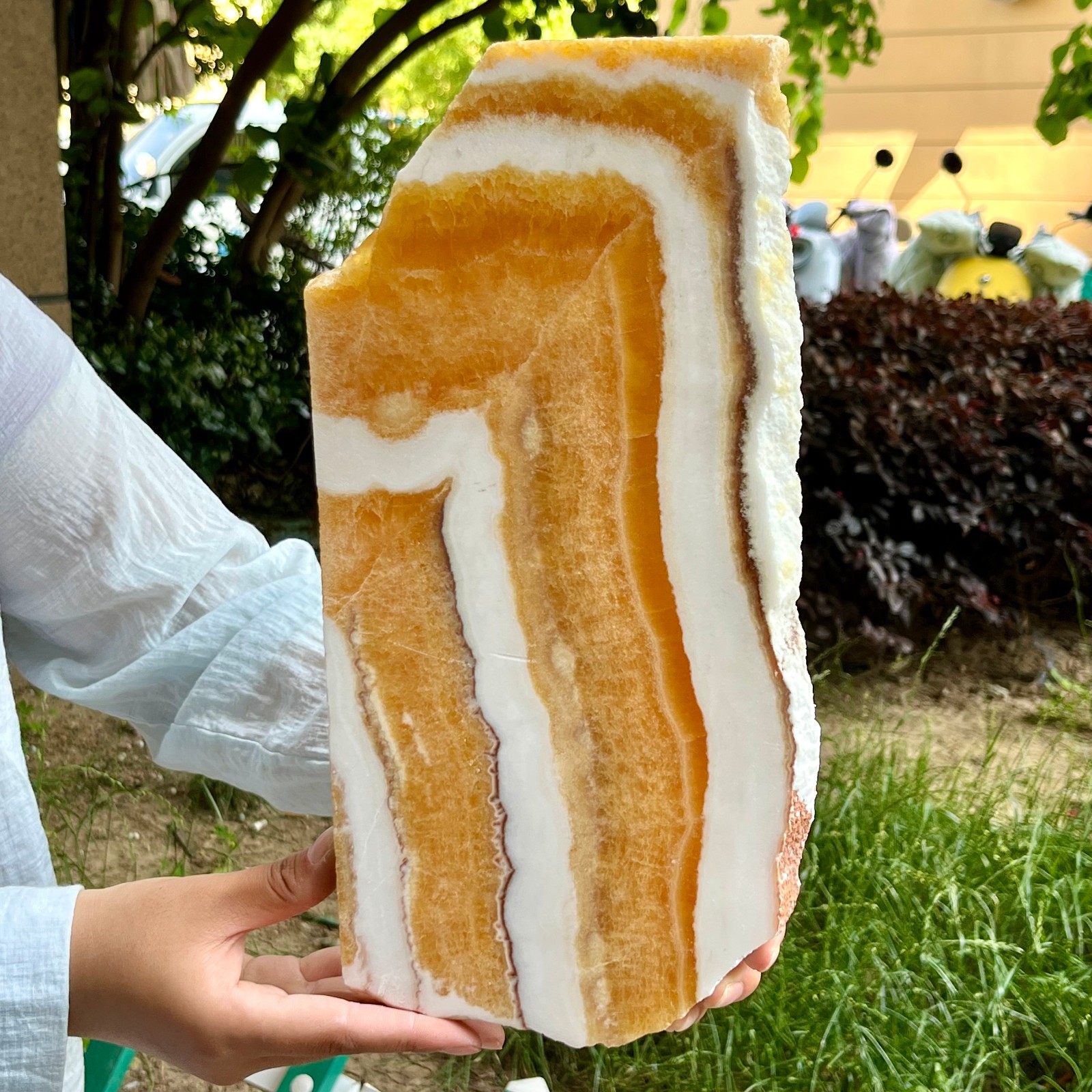 3.3 lb Yellow Calcite Crystal Polished Double Sided Slice Natural Specimen