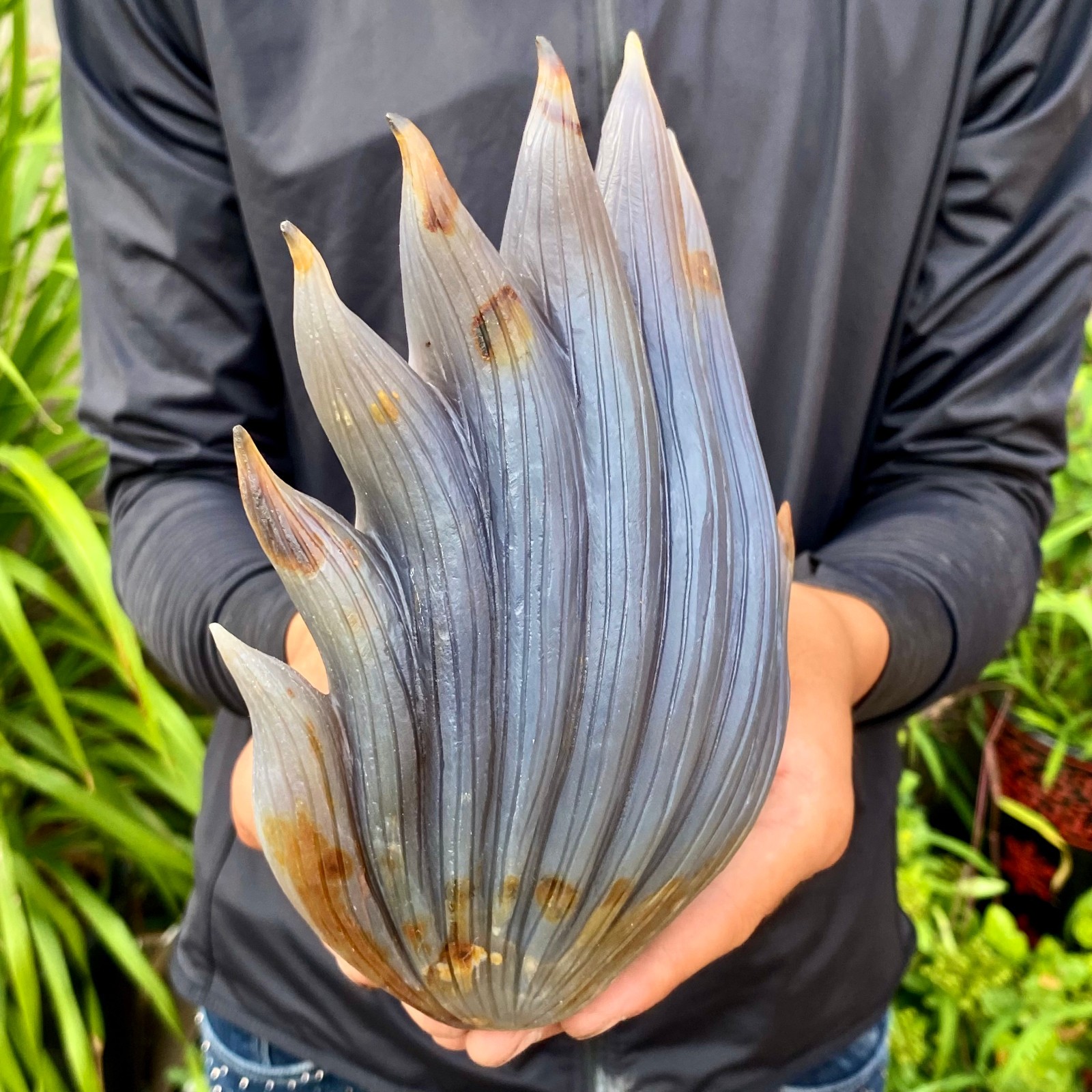 2.86LB Natural Agate Geode Hand Carved Nine-tailed Fox Quartz Crystal Decor