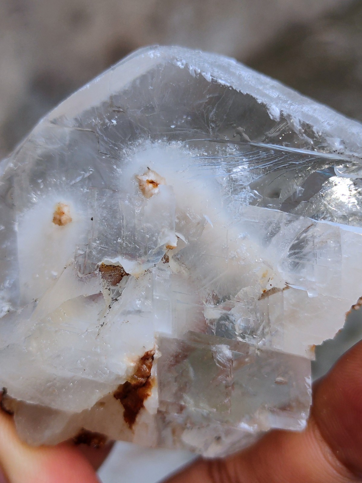 Okenite Tree 🌲 in Calcite. Phantom Calcite, Natural mineral specimen.