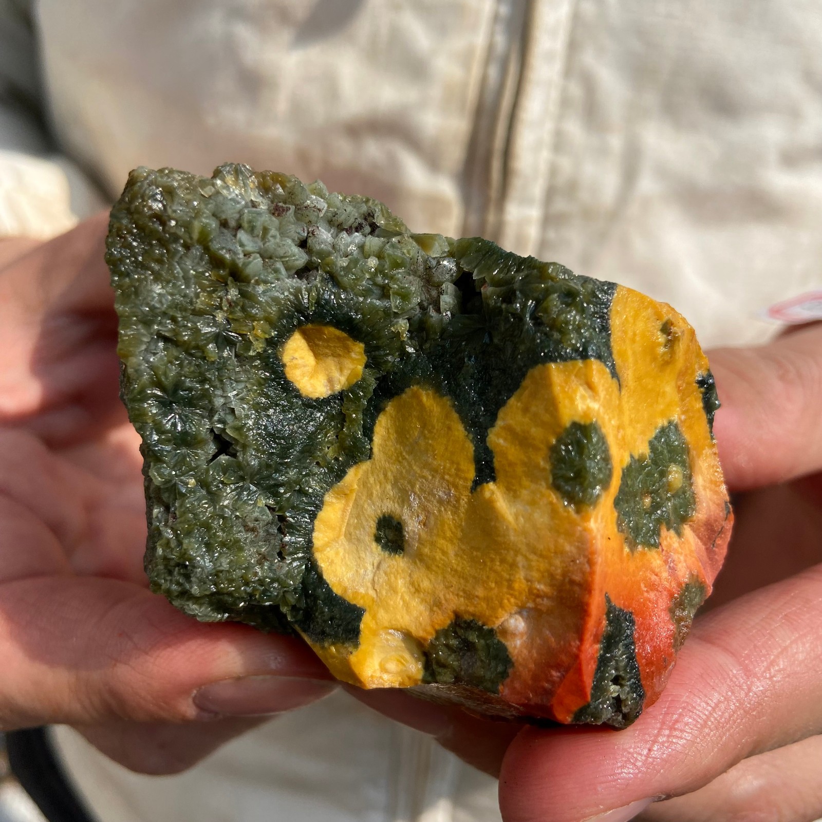 0.5lb Natural colourful ocean jasper raw stone crystal rough mineral specimen