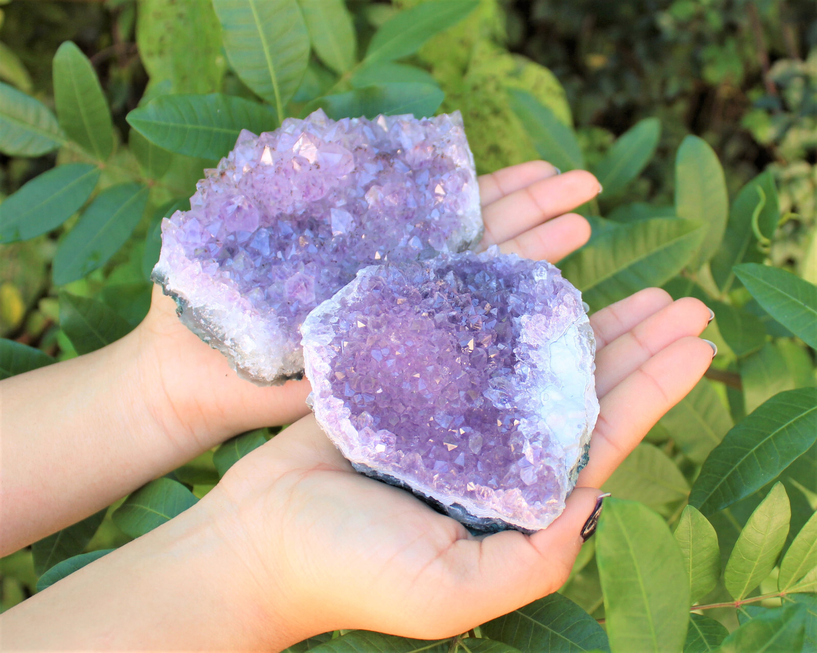 Clearance Amethyst Crystal Clusters – Natural ‘B’ Grade Cluster Druze Specimens