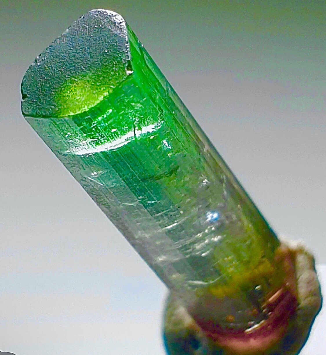 Bi-Color Transparent Lipstick Tourmaline Crystal Natural Raw Rough Specimen