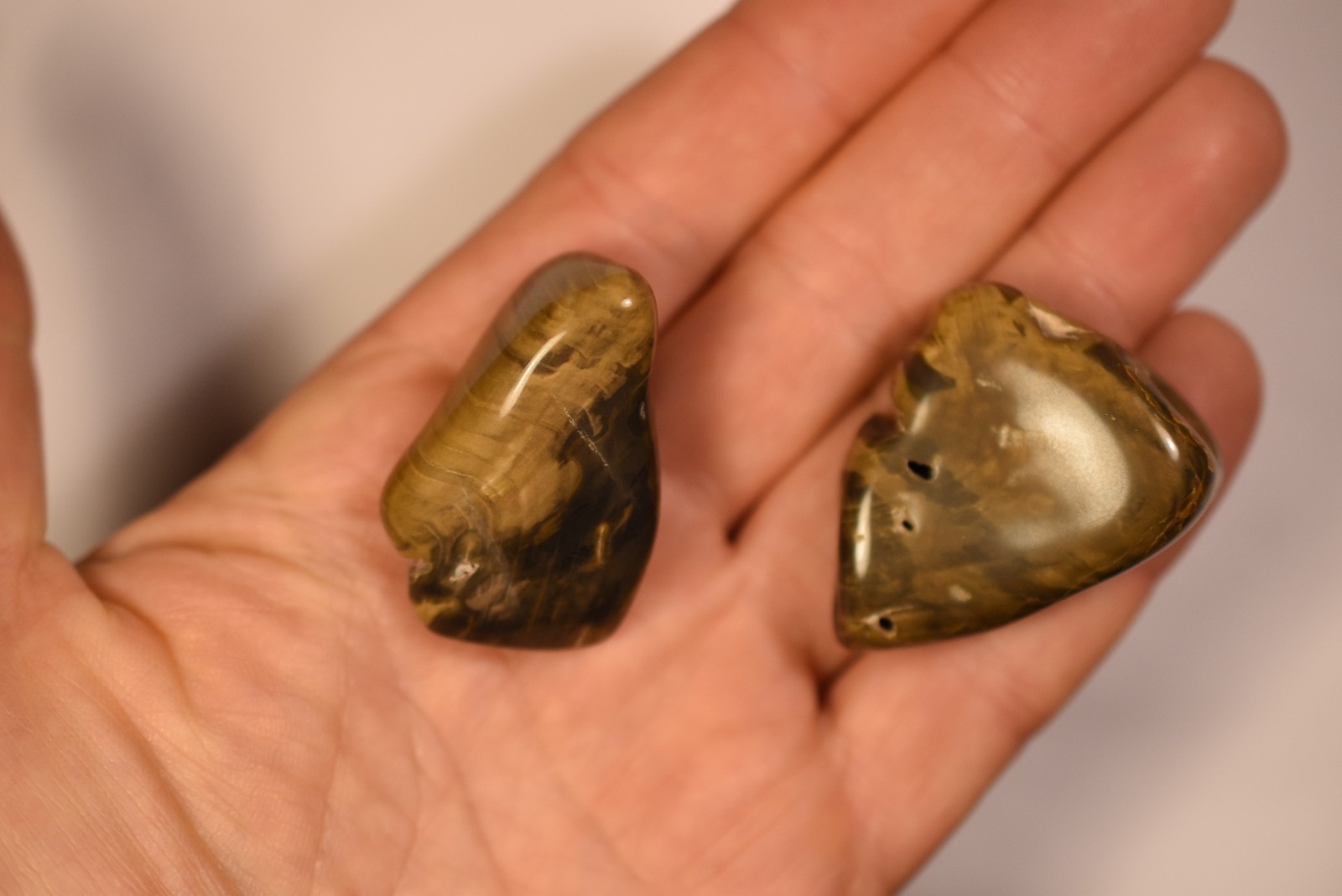 2 *AUSTRALIAN PETRIFIED WOOD* Tumbled Stones 4cm 58.2g Natural Stone QLD