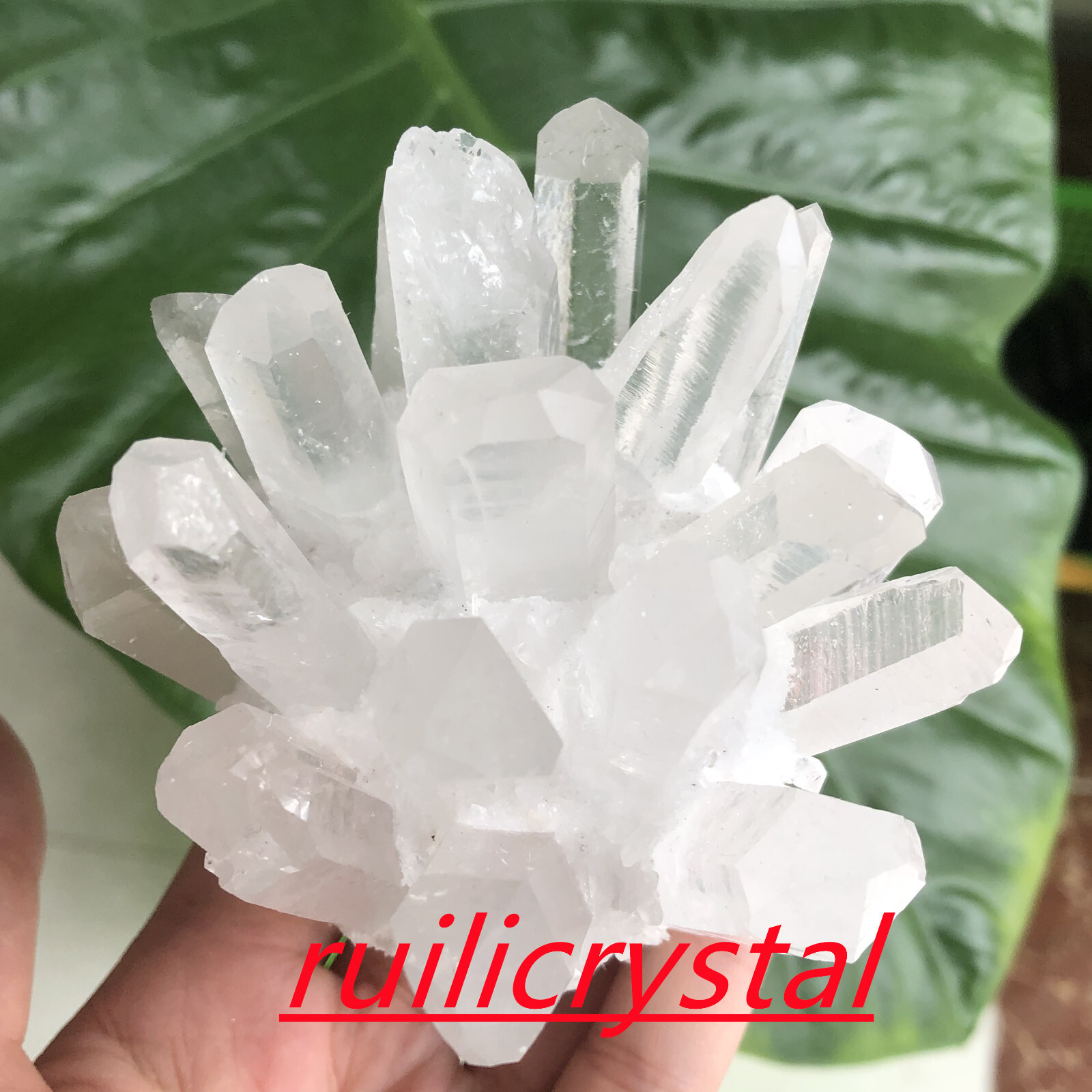 300g+natural clear quartz cluster white crystal point healing decor random 1pc