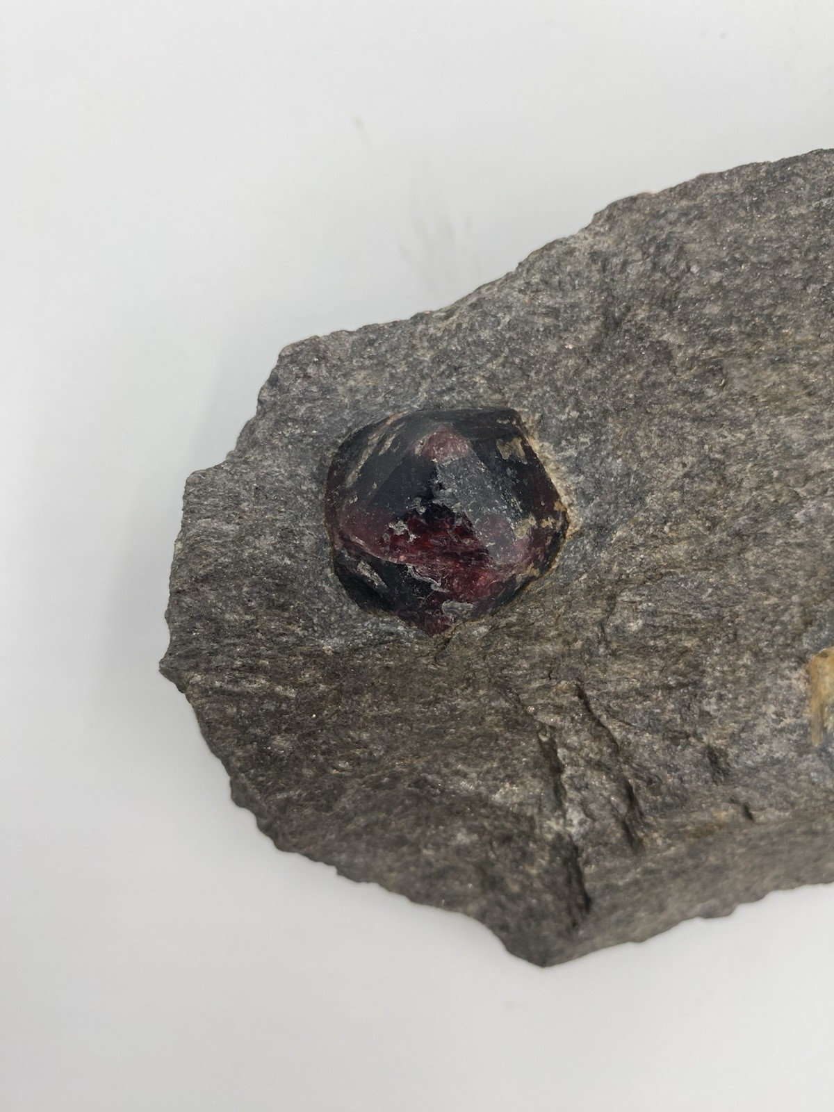 Gemmy Red Almandine Garnet Gemstones in Matrix Crystal Specimen 1lb 4.8oz 5.5”