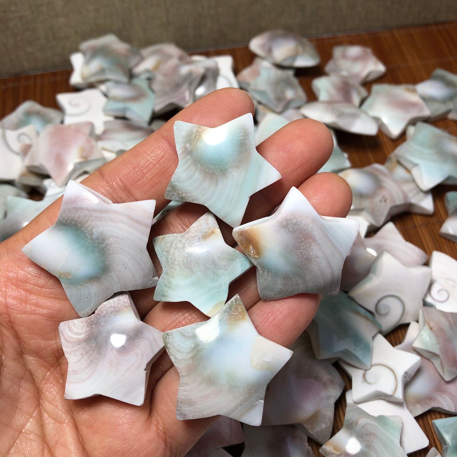 1000g Rare sun shell Reiki Shiva Eye ocean semi-precious stone 100-120pcs A3311
