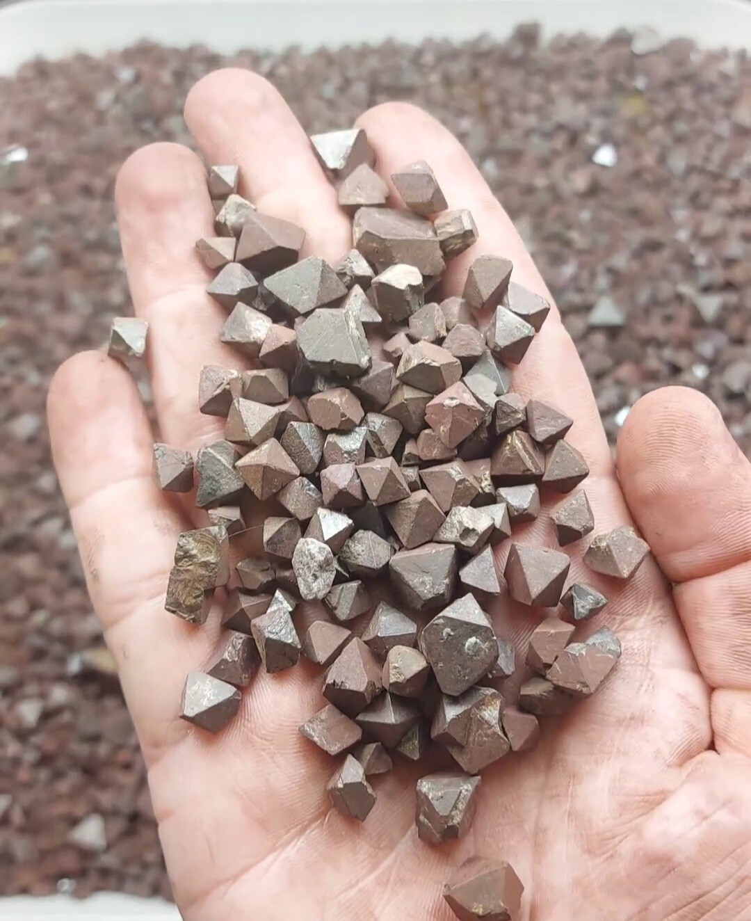 rocks fossils minerals crystals gemstones rough
