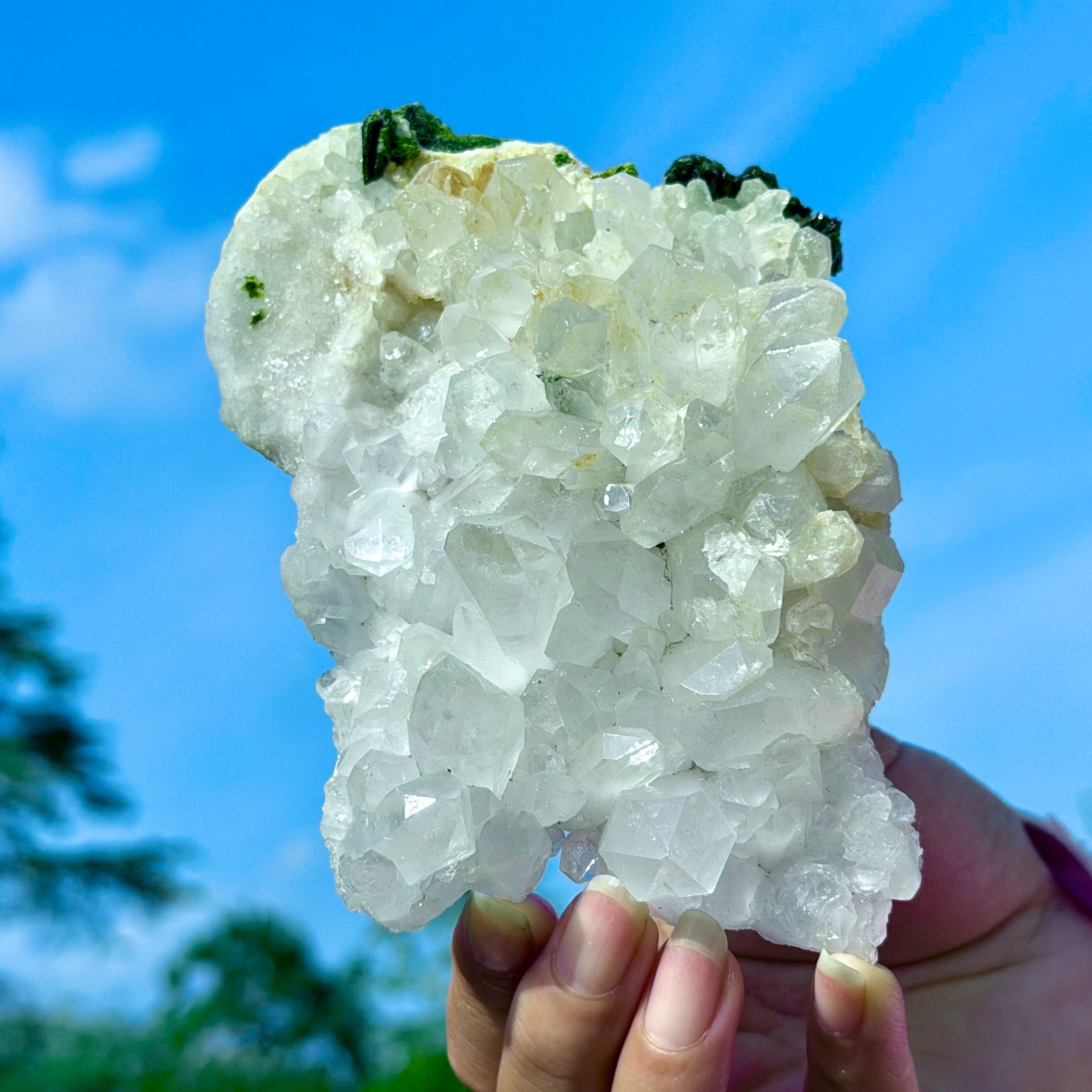 449G Rare!! Natural Clear Crystal with Epidote Garden Quartz Cluster Specimen