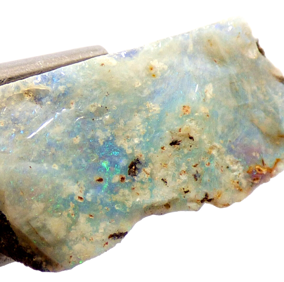 Boulder Opal with Green Blue Fire Queensland Australia Unpolished 12ct 20mm