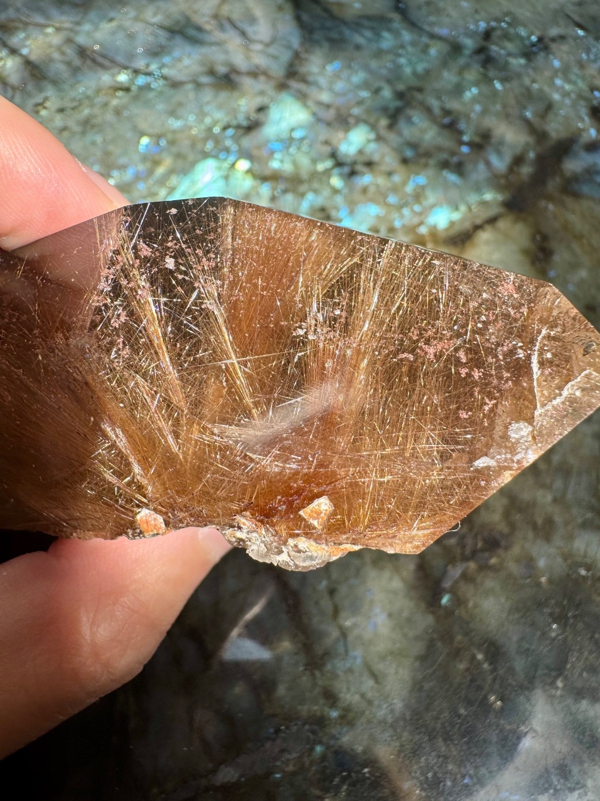 Absolutely INCREDIBLE Phantom Rutilated Smoky Quartz Double Terminated Point