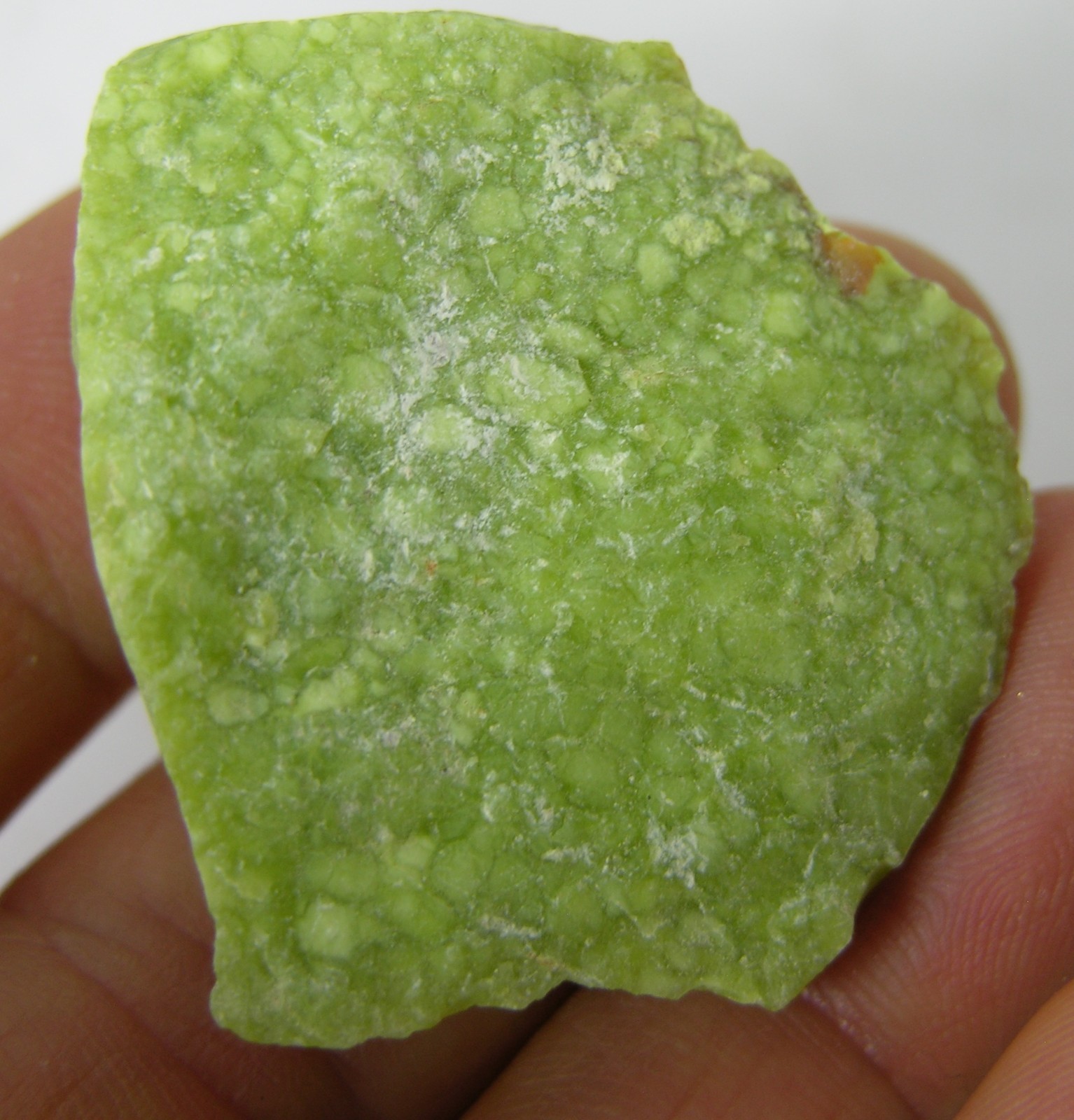 #8 Madagascar 90.50ct 100% Natural Raw Rough Green Opal Specimen 18.10g 36.00mm