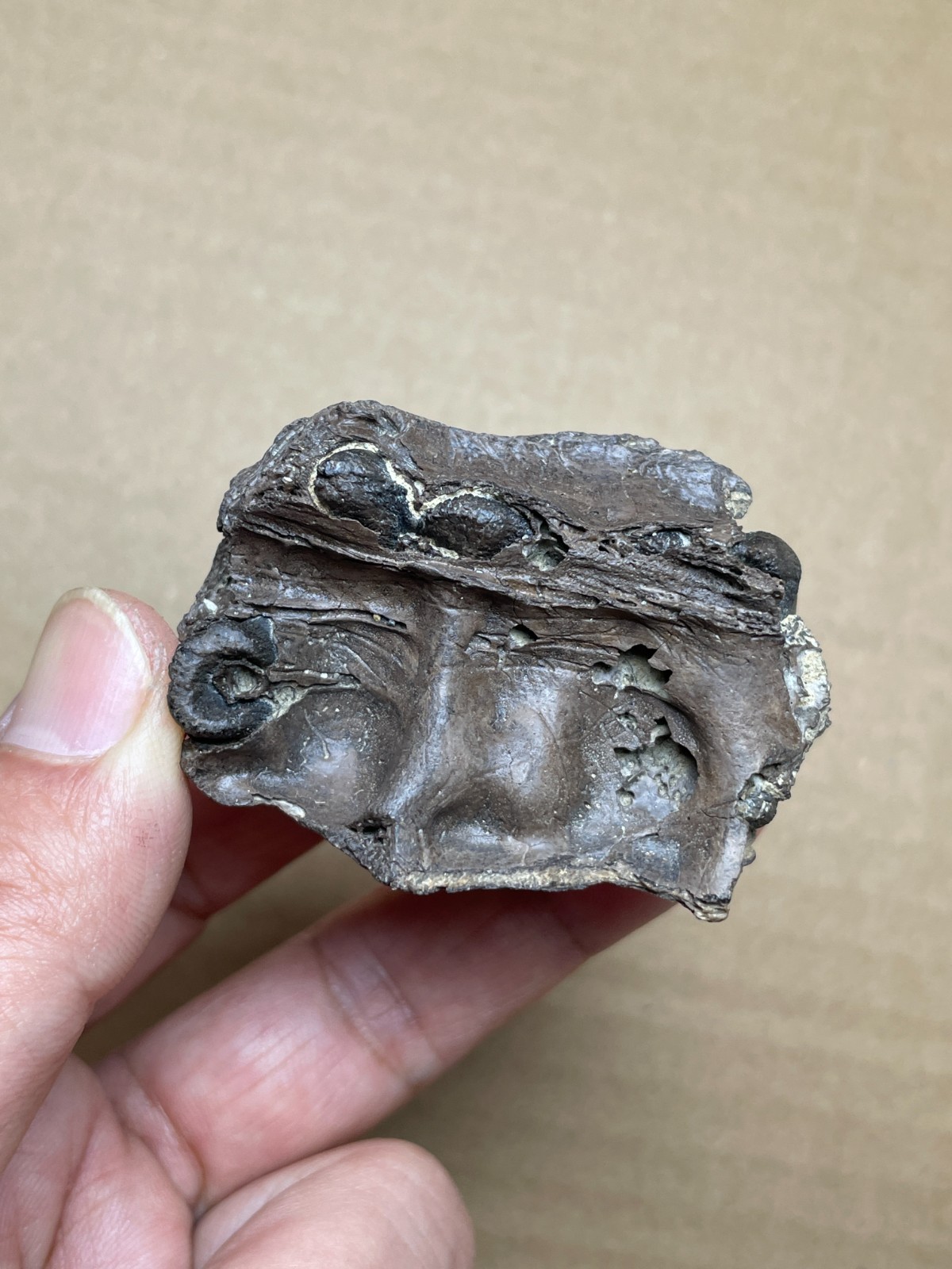 50g Beautiful Landscape stone collection