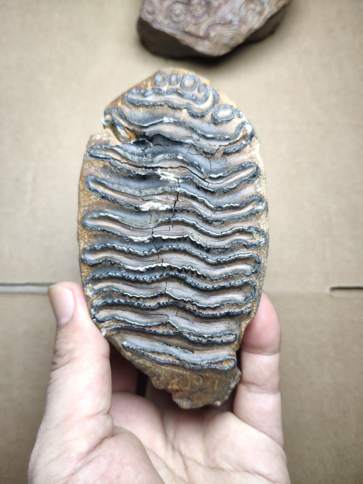 530g Beautiful Clear texture landscape stone