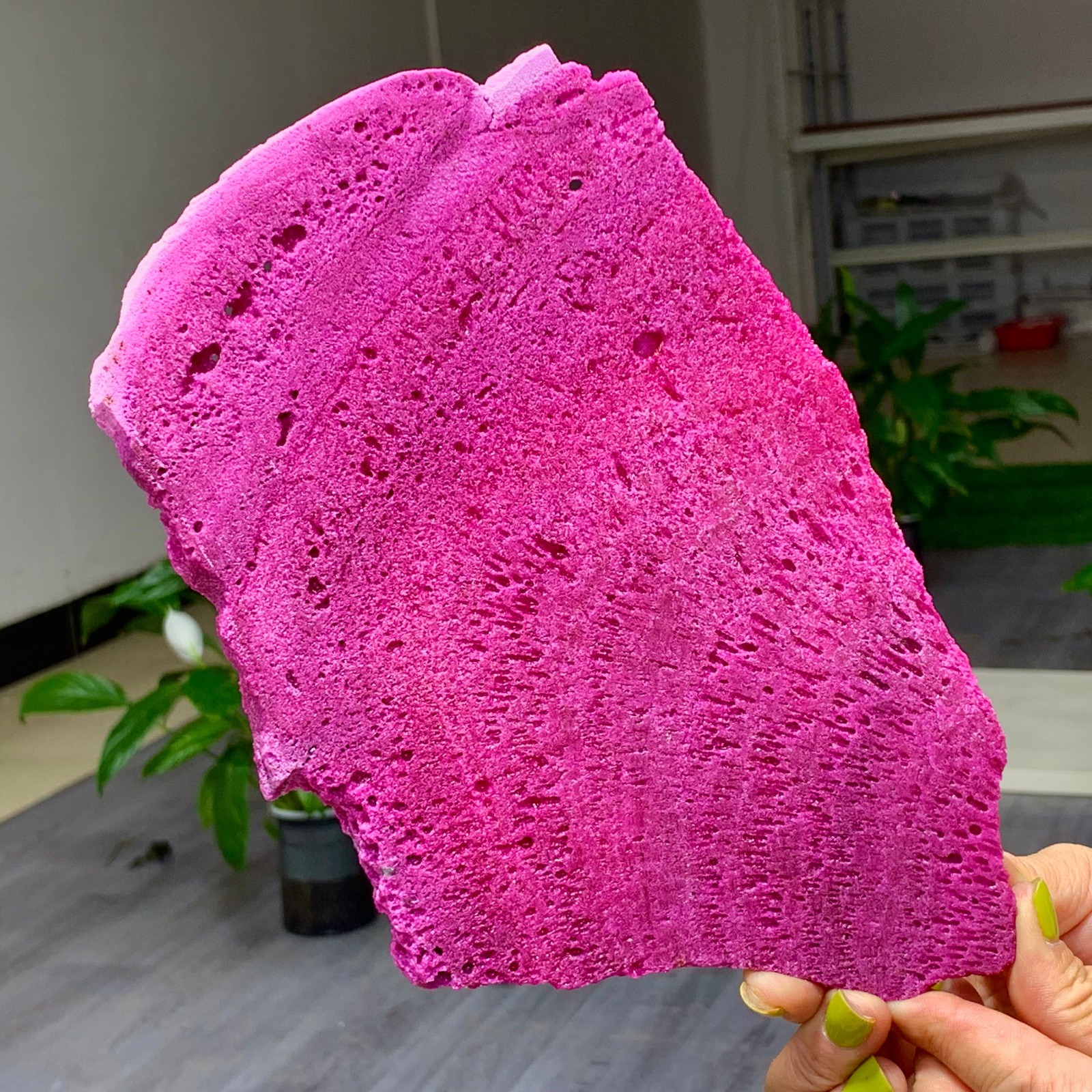 1.14LB Natural Rough Red Corundum Phlogo Pit Mineral Spirits Ruby Raw Gemstone