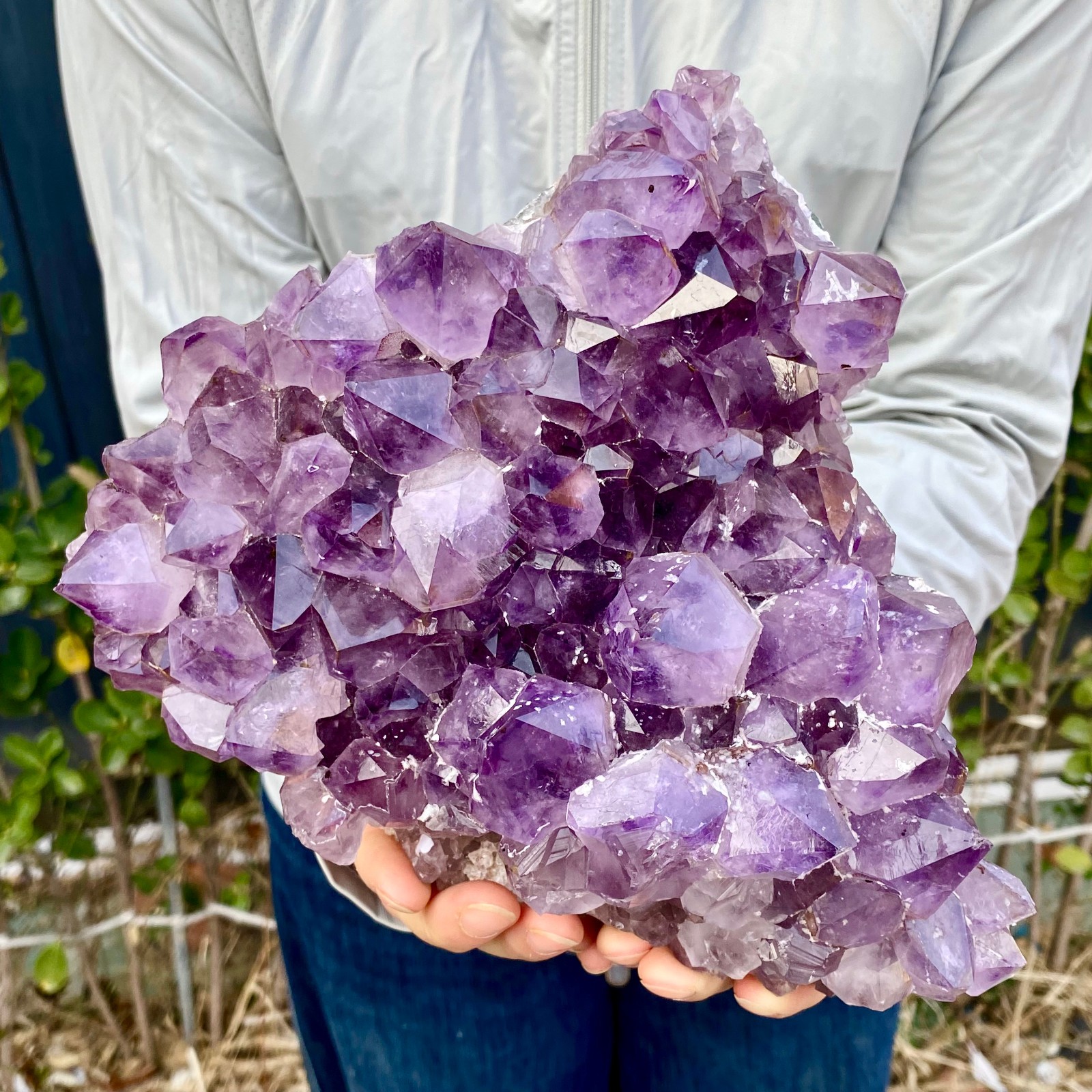 8.8LB Natural Amethyst geode quartz cluster crystal specimen Healing