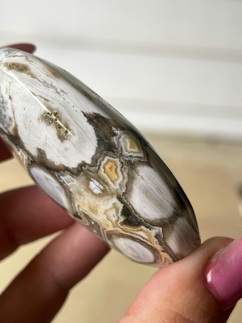 8th Vein Ocean Jasper Big Palmstone with Orbs and Quartz Collectors Crystal