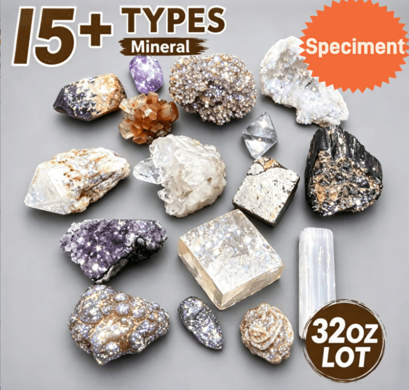 Wholesale USA 32oz Natural Mineral Specimen Lot 15+ Types Mixed Crystal Rock Col