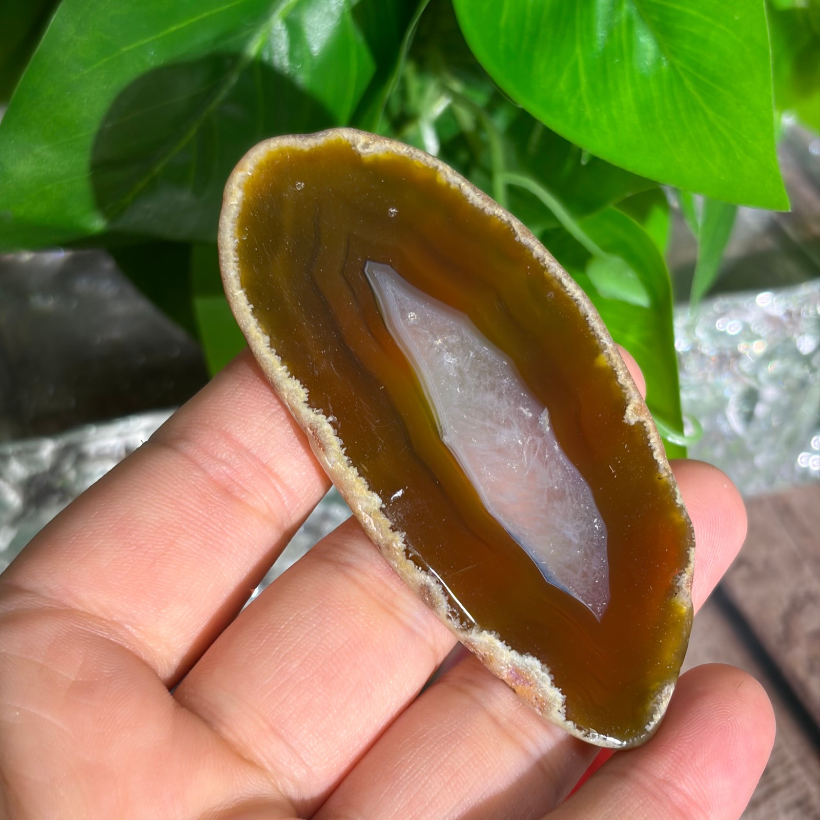 Agate Slices Bulk Lot – Random Colors & Shapes – Min 100g Guaranteed