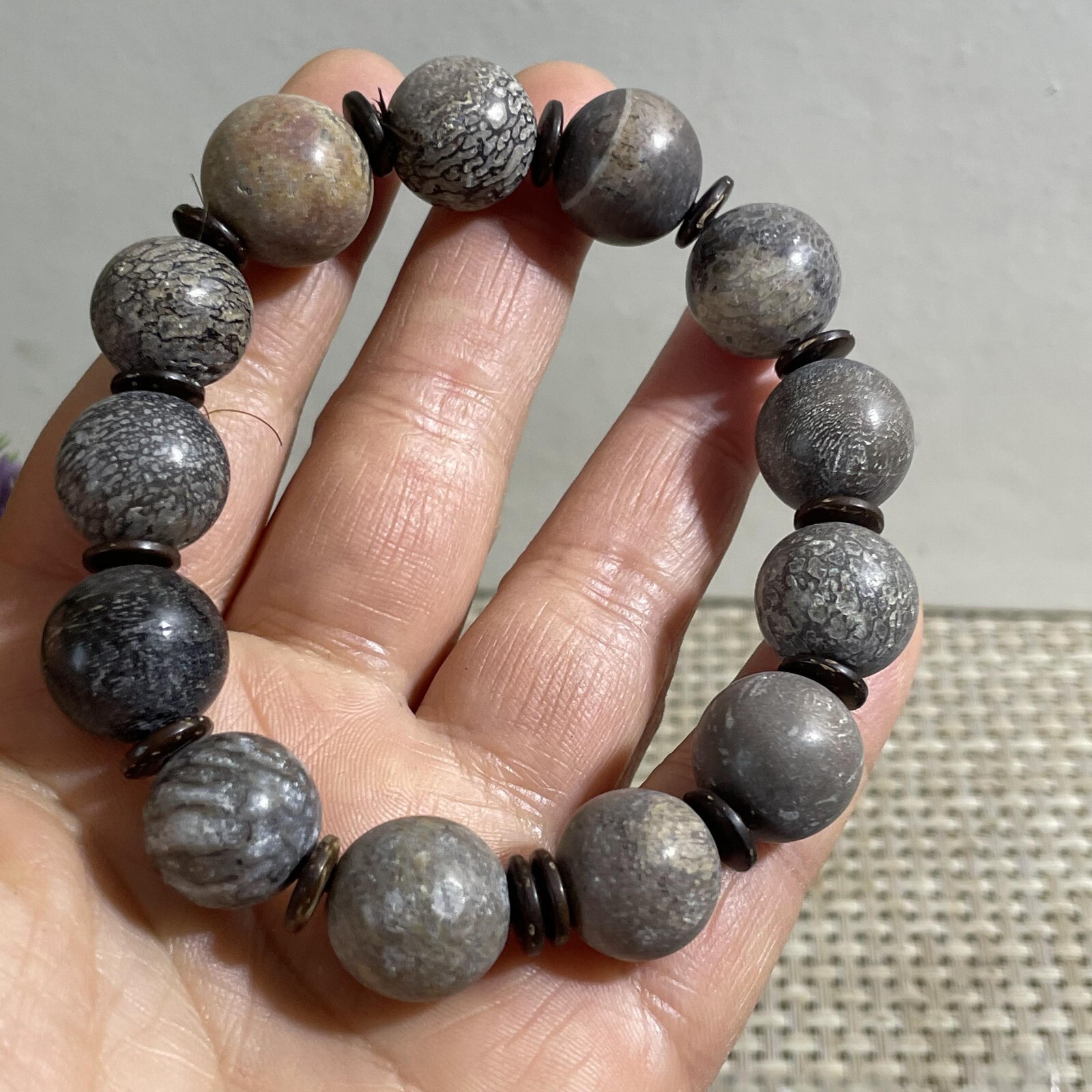 52g 14mm Madagascar polished bone bracelet specimen