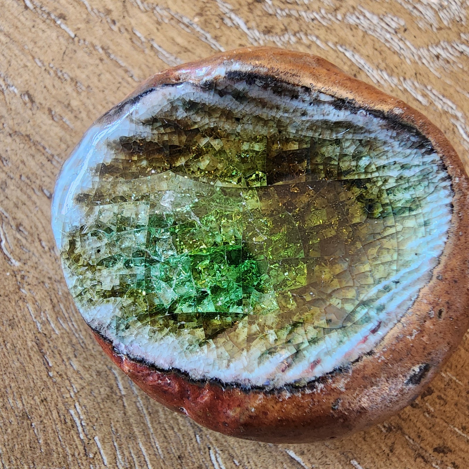 Fossilized Sea Shell Rock Green Crystals Preserved With Clear Coating