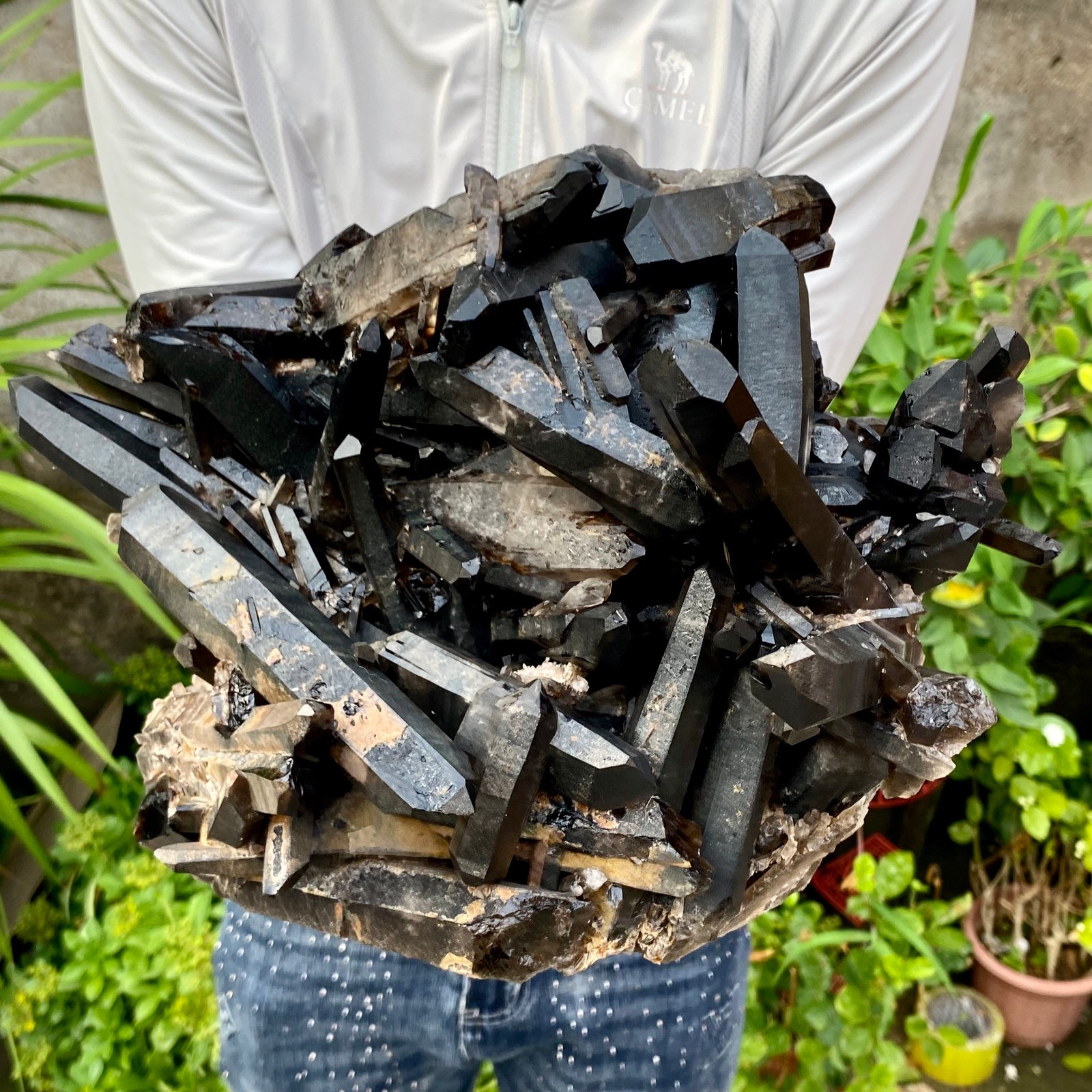 12.78LB Large Natural Smoky Black Quartz Cluster Crystal raw Specimen Healing