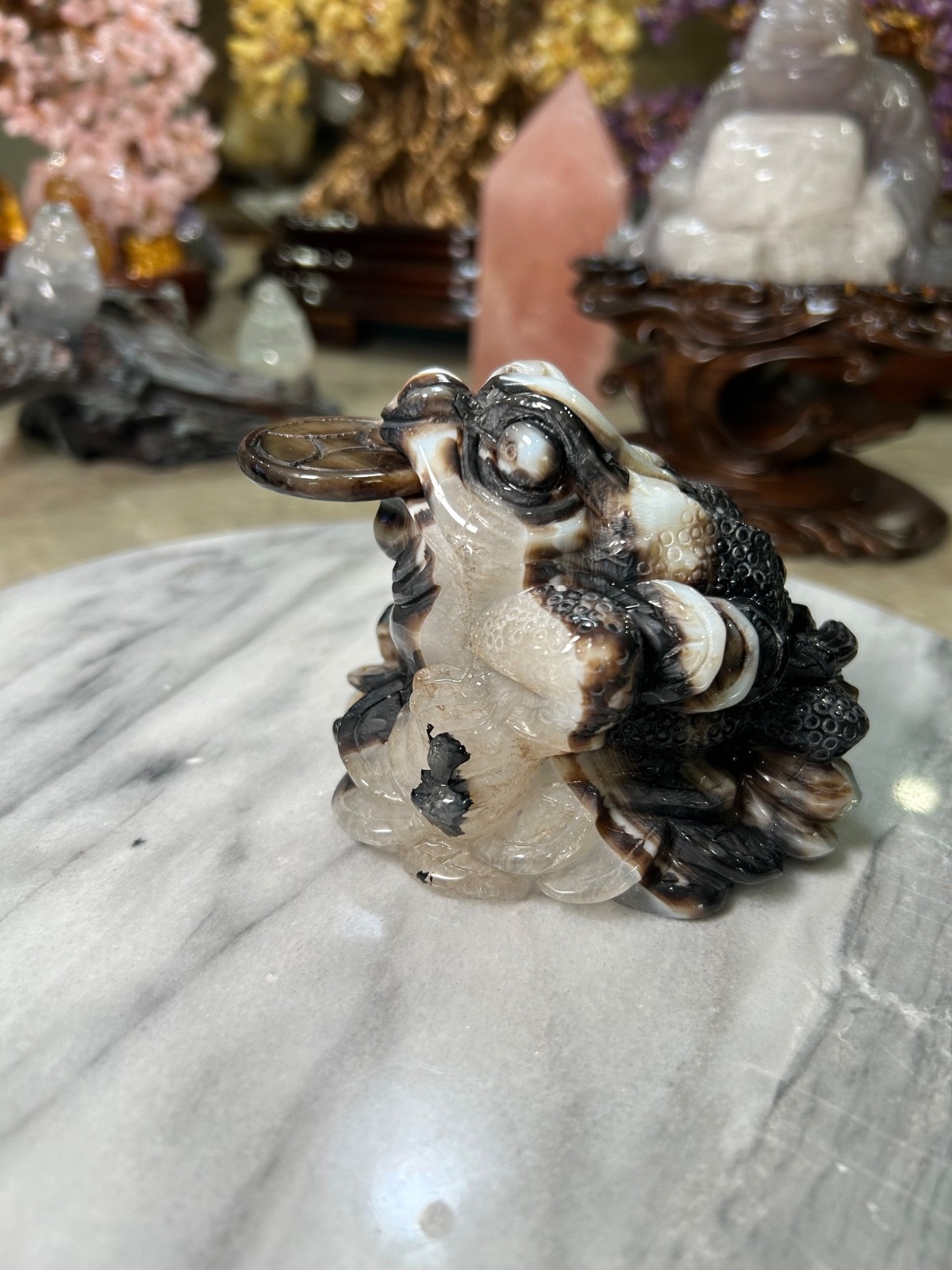 Agate Golden Money Toad Jin Chan with agate coin on sandalwood stand custom
