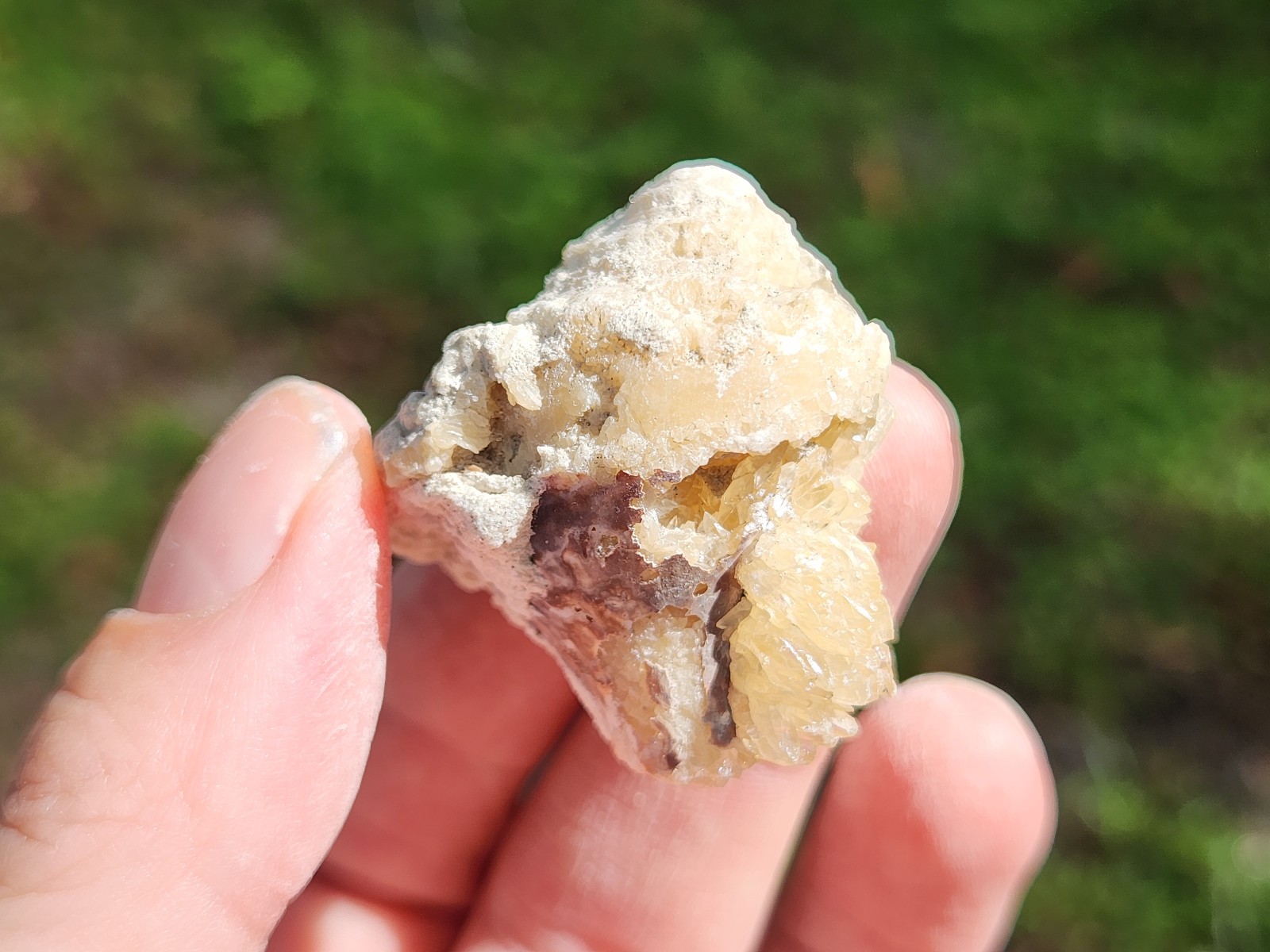 SET OF 3 Calcite CRYSTAL WHELK Shells Fossil Rucks Pit Florida dogtooth LOT