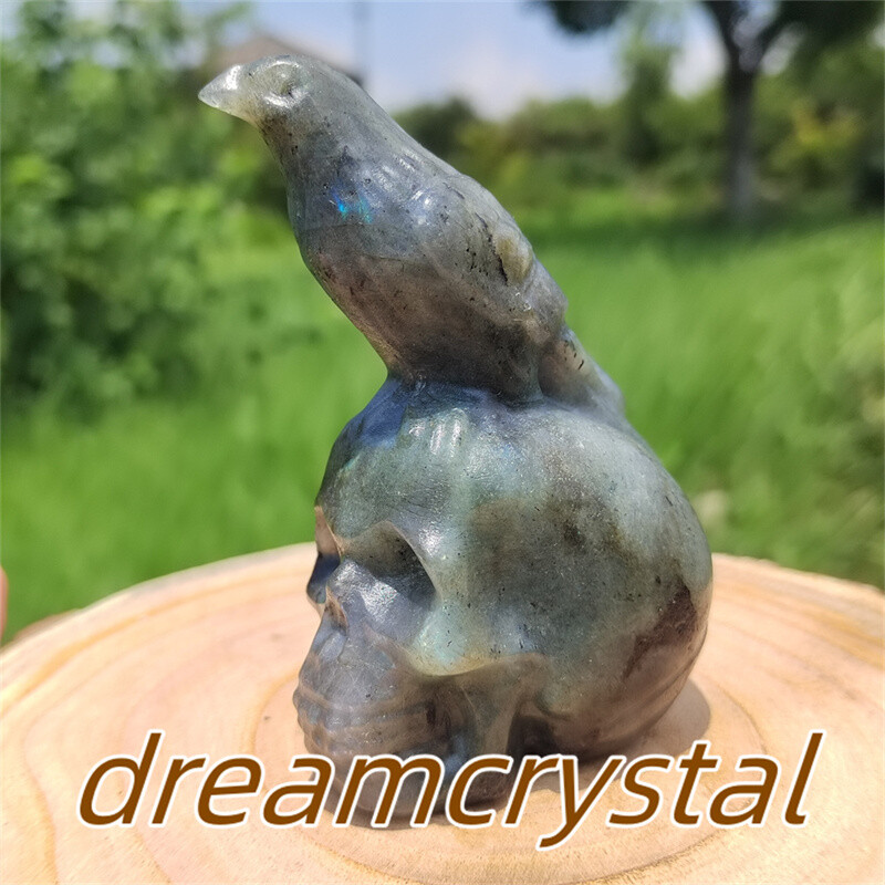 3.5″ Natural Labradorite Bird Skull Carved Quartz Crystal Crow Sculpture 1pc