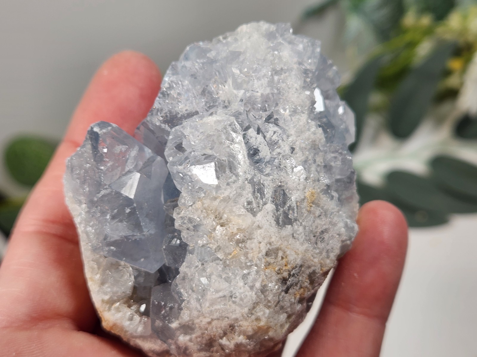 5pc Celestite 2 Ib Lot Crystal Clusters From Madagascar. Exact Specimens Cellot2
