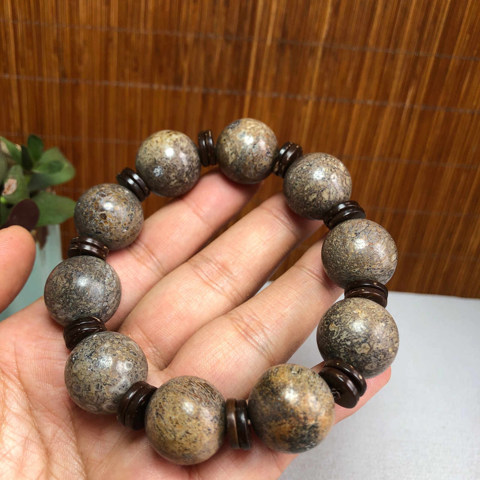 17+mm Natural dinosaur bone gemstone Crystal chain bracelet Specimen 87g A1077