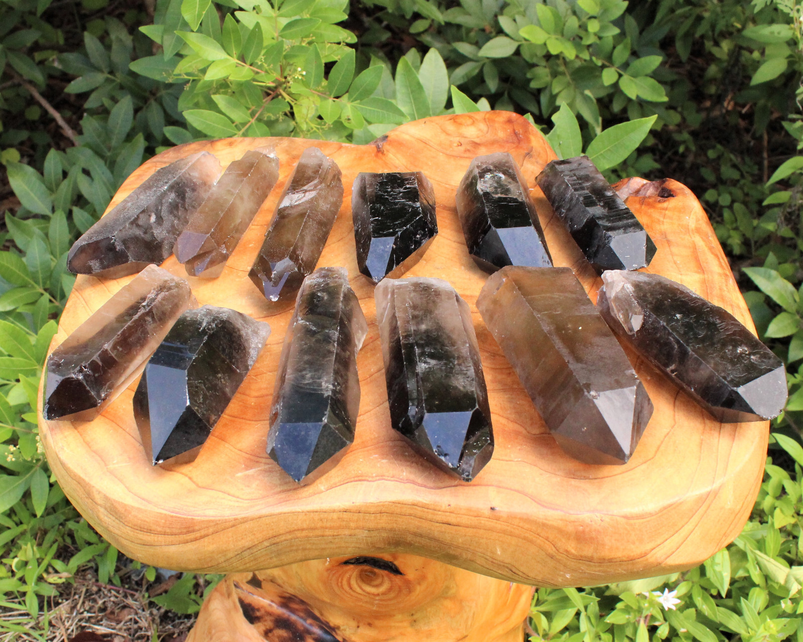 Smoky Quartz Points, LARGE ‘AAA’ Grade Smoky Quartz Crystal Point: Choose Size