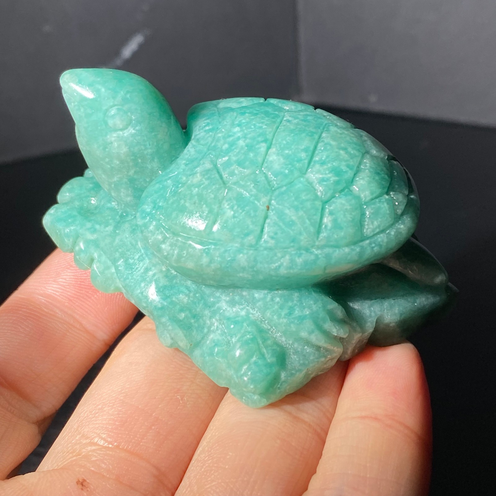 108G Natural Tianhe stone Turtle Quartz Tortoise Carved Crystal Skull Healing
