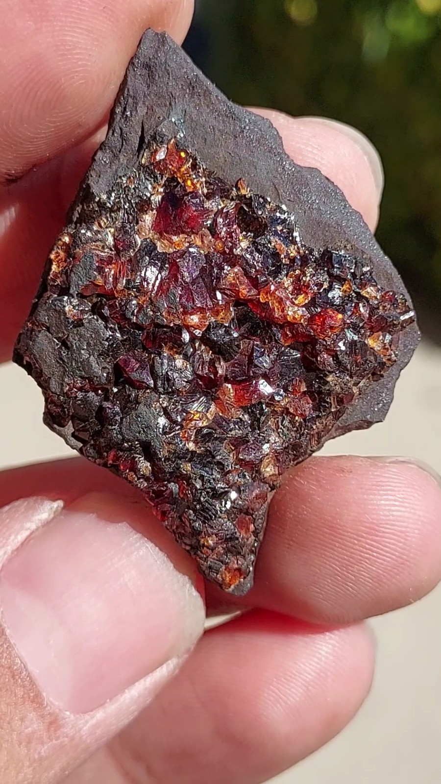 ULTRA RARE GEM RHODOCHROSITE ON MATRIX N’Chwaning I Mine, KMF, South Africa