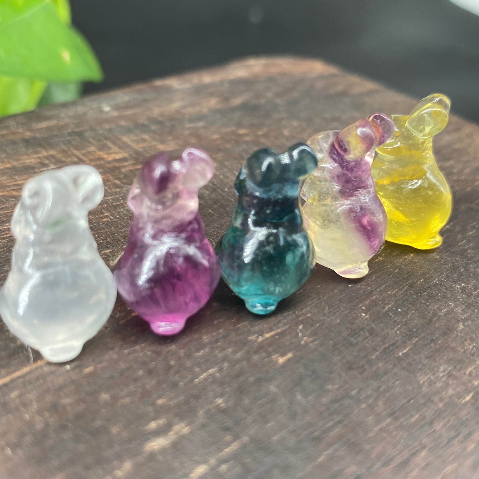 5pc Natural fluorite carved mini rabbit quartz crystal reiki healing