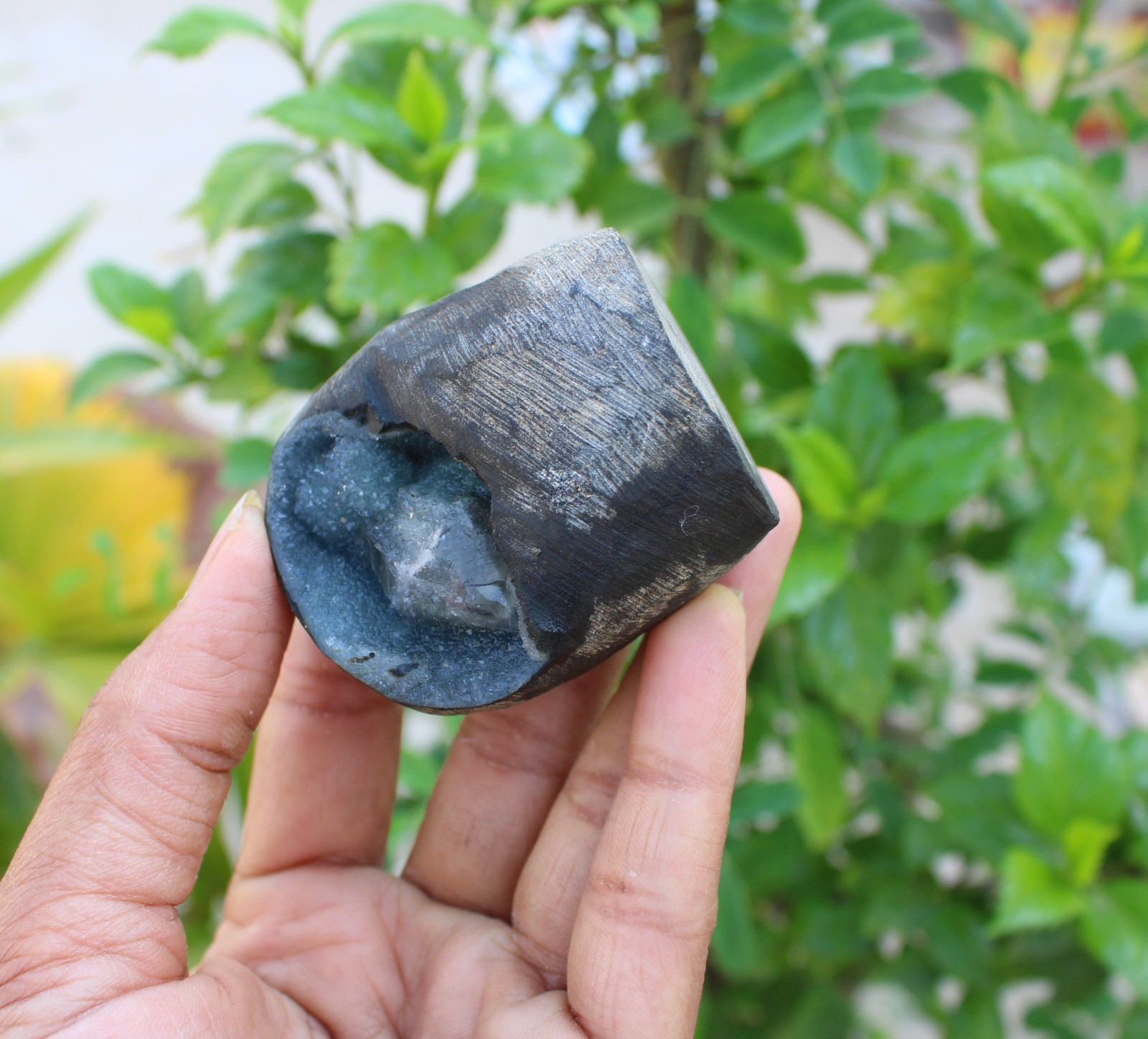 calcite on chalcedony coral geode minerals specimen #A43
